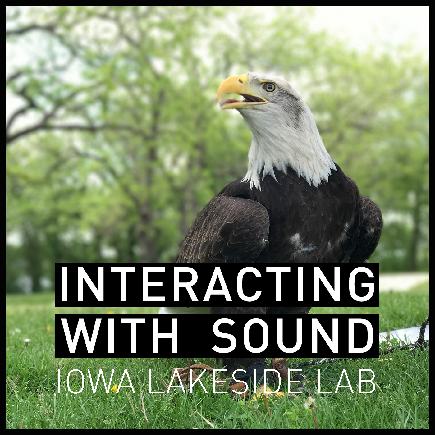 Interacting with Sound